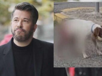 Βαρθακούρης: «Πυρ και μανία» για την κτηνωδία με τα βασανιστήρια σε σκύλο στην Ηλεία – Tα πολύ σκληρά του λόγια