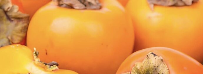 Οι ιδιότητες του λωτού, του γλυκού φθινοπωρινού φρούτου