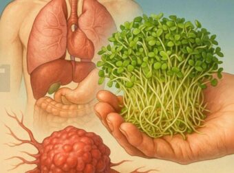 Η πιο ισχυρή αντικαρκινική τροφή που πιθανώς δεν έχετε δοκιμάσει ποτέ