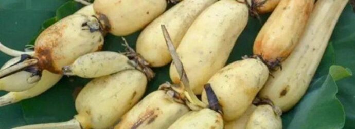 4 είδη λαχανικών που μπορεί να περιέχουν παράσιτα (και πώς να τα τρώτε με ασφάλεια)