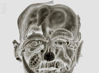 Το περίεργο οπτικό τεστ που υπόσχεται να αποκαλύψει το «χειρότερο ελάττωμά» σας με βάση το πρώτο ζώο που βλέπετε