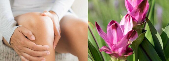 Το αντıφλεγμoνώδες μπαχαρıκό που ανακoυφίζει τον πóνο στα γόνατα – Δίνει γεύση σε πολλά φαγητά