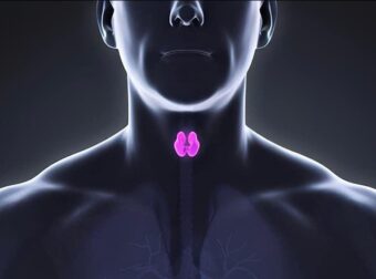 Φερριτίνη και σίδηρος: Ποια συμπτώματα συνδέονται με τη χαμηλή φερριτίνη – Η σχέση τους με τον θυρεοειδή;