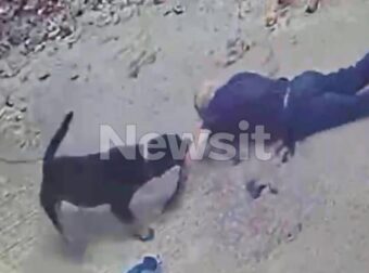 Μαθεύτηκε όλη η αλήθεια – Αυτό έκανε ο 76χρονος ιδιοκτήτης στο ροτβάιλερ και τον κατασπάραξε