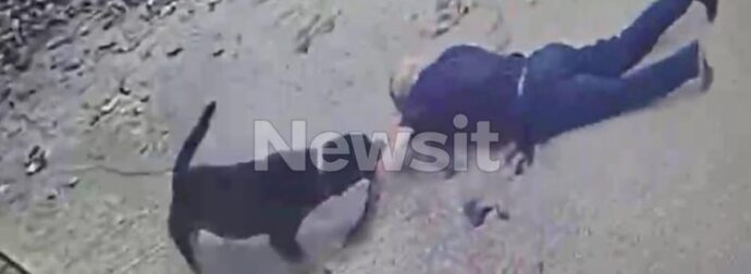 Μαθεύτηκε όλη η αλήθεια – Αυτό έκανε ο 76χρονος ιδιοκτήτης στο ροτβάιλερ και τον κατασπάραξε