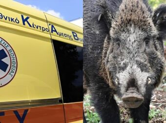 Τραγωδία: Σκοτώθηκε 24χρονος μοτοσικλετιστής μετά από σύγκρουση με αγριογούρουνο
