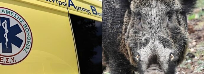 Τραγωδία: Σκοτώθηκε 24χρονος μοτοσικλετιστής μετά από σύγκρουση με αγριογούρουνο