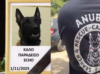 Σκότωσαν τον Echo! Θρήνος για τον σκύλο που συμμετείχε σε έρευνες για τα Τέμπη και για δολοφονίες