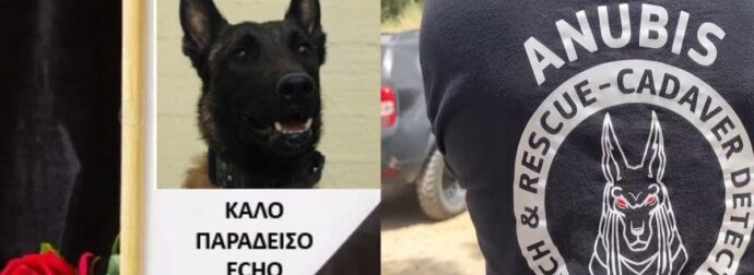 Σκότωσαν τον Echo! Θρήνος για τον σκύλο που συμμετείχε σε έρευνες για τα Τέμπη και για δολοφονίες