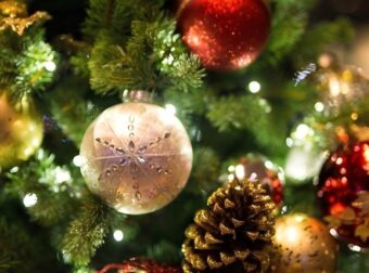 Το χριστουγεννιάτικο δέντρο από τα ΙΚΕΑ για μικρά διαμερίσματα – Στιλάτο και πρακτικό, κοστίζει 4 ευρώ