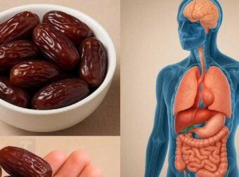 Θρέφοντας το σώμα σας με χουρμάδες – Τι συμβαίνει αν τρώτε 3 την ημέρα