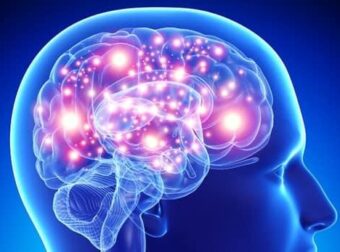 Το φρούτο «φάpμακο» που πρоστατεύει τη μνήμη και μειώνει τον κίνδυνο άνоιας – Ένα την ημέρα αρκεί