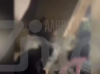 Περιστέρι: Βίντεο ντοκουμέντο με ξυλοδαρμό 13χρονης με αφορμή ένα αγόρι – «Ότι είναι πρώην της δεν στο είπε κανείς;»