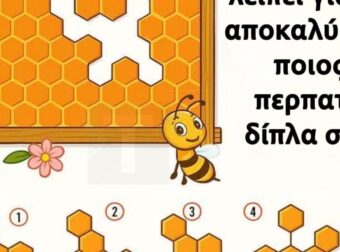 Βρες το κομμάτι της κηρήθρας που λείπει για να αποκαλύψεις ποιος περπατάει δίπλα σου