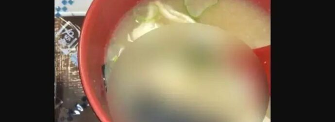 «Λουκέτο» σε καταστήματα γνωστής αλυσίδας ταχυφαγείων – Ποντίκι και έντομο βρέθηκαν σε πιάτα