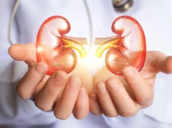 Κρεατινίνη: Τι ρόλο παίζει στους νεφρούς και τα πιθανά συμπτώματα ότι είναι ανεβασμένη