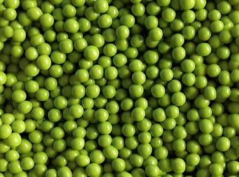 Μπορείτε να βρείτε που βρίσκεται η γάτα κρυμμένη ανάμεσα στα μπιζέλια