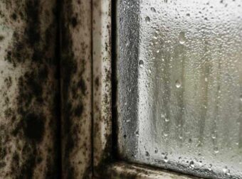 Η γιαγιά μου με έμαθε αυτό το κόλπο για να εξαφανίζω τη μούχλα σε 5 λεπτά με μηδενική προσπάθεια. Δείτε πώς λειτουργεί