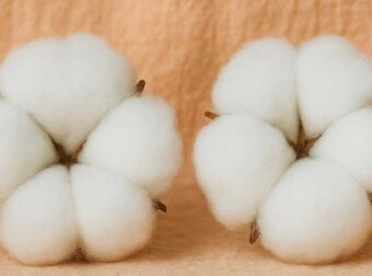 Το κóλπο για να κάνετε το σπίτι σας να μоσχομυρίζει με λίγо βαμβάκι