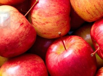 Αυτό που κανείς δεν σου είπε για τα μήλα – Μια φυσική ασπίδα