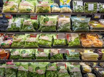 Καταναλώνεις έτοιμες σαλάτες; Μάθε για τον κίνδυνο τοξοπλάσμωσης – Τι έδειξε πανευρωπαϊκή μελέτη