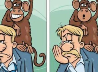 Αν έχεις ΦΑΝΤΑΣΤΙΚΗ όραση, προσπάθησε να βρεις τις 6 διαφορές ανάμεσα στις χαριτωμένες εικόνες