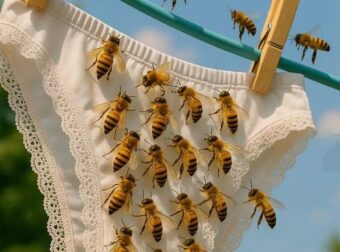 Γιατί οι μέλισσες πηγαίνουν μερικές φορές πάνω στα ρούχα σας