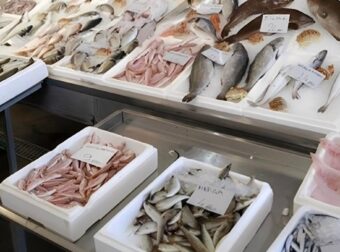 Το πιο υγιεινό ψάρι που όλοι πρέπει να τρώμε τουλάχιστον δύο φορές την εβδομάδα