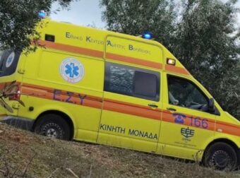 Τραγωδία στη Φθιώτιδα: 50χρονος πέθανε μετά από τσίμπημα μέλισσας – Έτρεξε να σωθεί και βγήκε εκτός δρόμου με το αυτοκίνητο