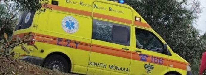 Τραγωδία στη Φθιώτιδα: 50χρονος πέθανε μετά από τσίμπημα μέλισσας – Έτρεξε να σωθεί και βγήκε εκτός δρόμου με το αυτοκίνητο