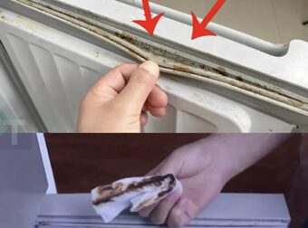 Πώς να καθαρίσετε γρήγορα και αποτελεσματικά τις μουχλιασμένες φλάντζες του ψυγείου σε μόλις 5 λεπτά