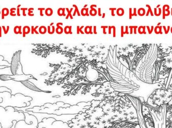 Βρείτε το αχλάδι, το μολύβι, την αρκούδα και τη μπανάνα