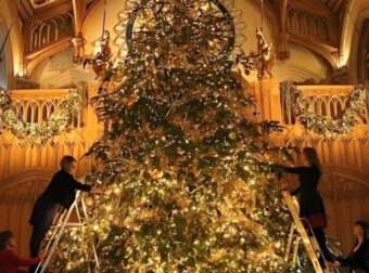 Ο πρώην κηπουρός του βασιλιά Καρόλου αποκαλύπτει το σημείο όπου δεν πρέπει ποτέ να βάλετε το χριστουγεννιάτικο δέντρο