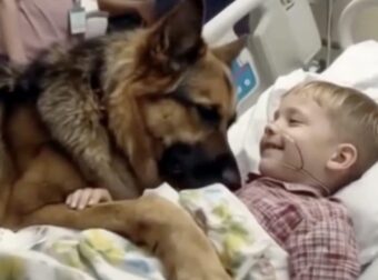 Αγόρι μοιράζεται μια συγκινητική αγκαλιά με τον σκύλο του πριν από το χειρουργείο