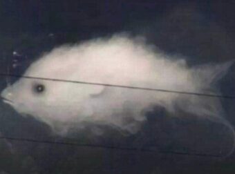 Τεστ: Αυτό που βλέπετε πρώτα αποκαλύπτει κάτι σημαντικό για την προσωπικότητά σας