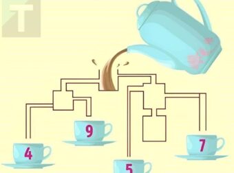 Τεστ IQ: Mπορείτε να βρείτε ποιο φλιτζάνι θα γεμίσει πρώτο με τσάι σε 5 δευτερόλεπτα;