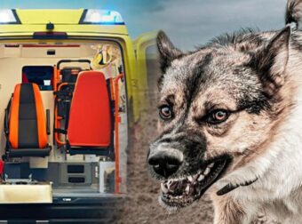 Σοκ σήμερα στη Ζάκυνθο με νεκρό 2χρονο παιδάκι – Μαθεύτηκε όλη η αλήθεια – Η ράτσα του σκύλου