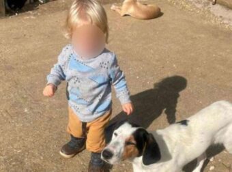 Αυτός είναι το ξανθό αγγελούδι που κατασπάραξε το πίτμπουλ χτες στην Ζάκυνθο – Μαθεύτηκε όλη η αλήθεια