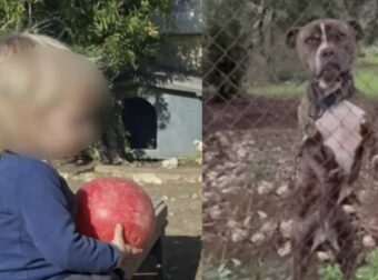 Θρήνος για τον μικρό άγγελο της Ζακύνθου