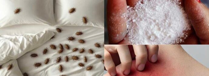 Πώς να αφαιρέσετε τα ακάρεα της σκόνης  και τους κοριούς από το στρώμα σας με φυσικό τρόπο