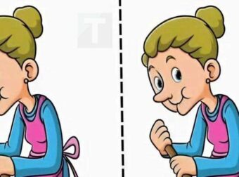 Είστε έτοιμοι να δοκιμάσετε το μυαλό σας και να ακονίσετε τα μάτια σας; Βρείτε τις διαφορές