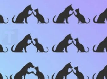 Βρείτε τι πάει λάθος σε αυτή την φωτογραφία και εκπαιδεύστε τον εγκέφαλο σας