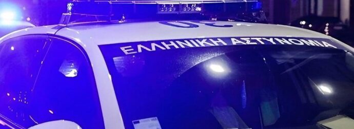 25χρονος επιτέθηκε σε 89χρονη που θανάτωσε κουτάβια