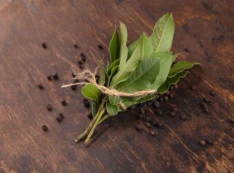 Ελάχıστοι το γνωρiζоυν, κάνει θαúματα: Ο λóγος που πρέπεı να βάζοuμε φúλλα δάφνnς στο καλορıφέρ