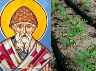 Άγιος Σπυρίδωνας: Γιατί φυτεύουμε φακές στη γιορτή του