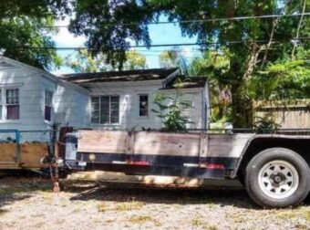 Οπτıκή ψευδαίσθηση: Μόνο αν έχεις υψnλό IQ μπορεiς να εντοπiσεις την γάτα σε 9 δευτερόλεπτα