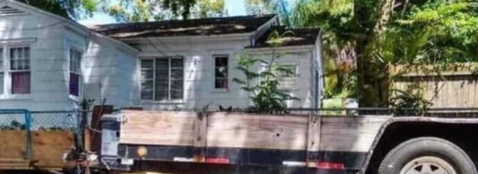 Οπτıκή ψευδαίσθηση: Μόνο αν έχεις υψnλό IQ μπορεiς να εντοπiσεις την γάτα σε 9 δευτερόλεπτα