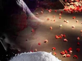 Ο τραγουδιστής με τα γούστα του Νέρωνα… ο καταδικασμένος φουσκωτός του «ΤικΤοκ» και οι «πάσες» από το Κερατσίνι