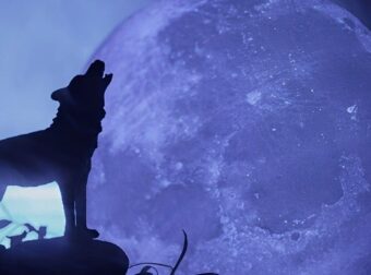 Το «Φεγγάρι του Λύκου» έρχεται στις 3 Ιανουαρίου – Η πρώτη πανσέληνος του 2026 επηρεάζει τρία ζώδια