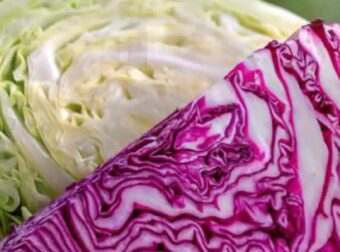 Λάχανο: Μια τροφή με πολλαπλά οφέλη για την υγεία μας